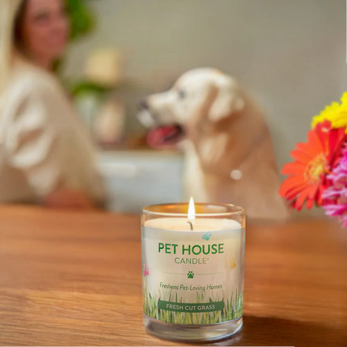 Pet House Fresh Cut Grass Candle