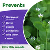 Bonide Chickweed, Clover & Oxalis Killer Concentrate