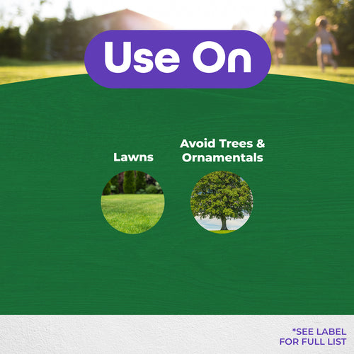 Bonide Chickweed, Clover & Oxalis Killer Ready-to-Use