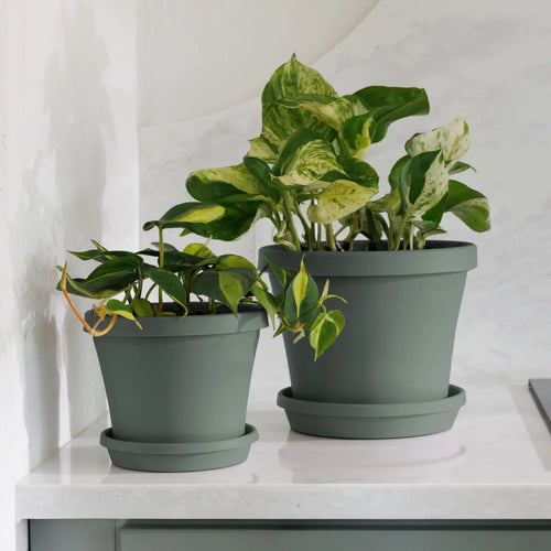 Bloem Terra Planter