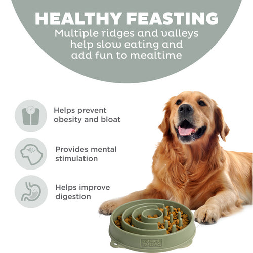 Outward Hound Fun Feeder Circle Sge LG