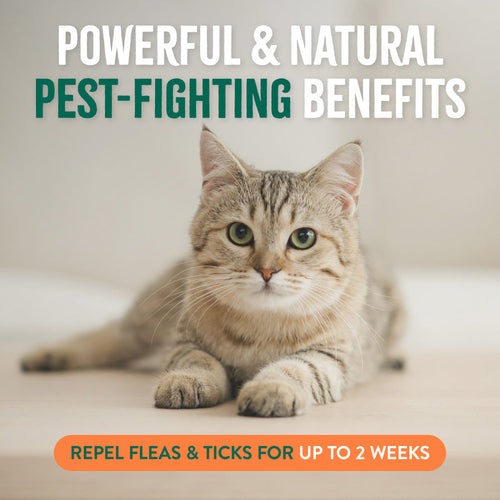 TropiClean Natural Flea + Tick Home + Cat Spray