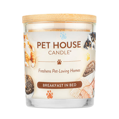 Pet House Breakfast In Bed Candle