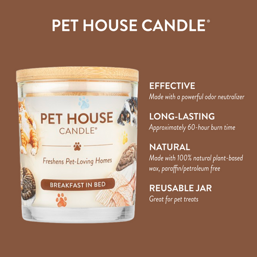 Pet House Breakfast In Bed Candle