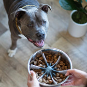 Messy Mutts Universal Slow Feeder Bowl Insert with Suction