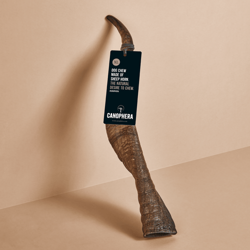 Canophera Sheep Horn Chews for Dogs