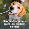 PetArmor® Antihistamine Tablets for Dogs