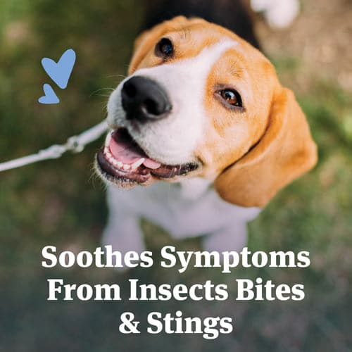 PetArmor® Antihistamine Tablets for Dogs