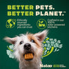 Natoo Crunchy Biscuits Oats And Berries Flavor Dog Treats