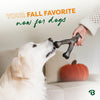 BENEBONE Wishbone Pumpkin Spice
