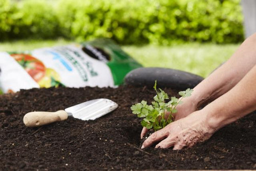 Miracle-Gro® Garden Soil for Vegetables and Herbs