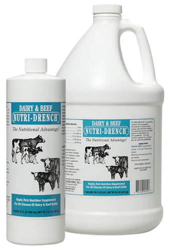 Bovidr Laboratories Dairy Beef Nutridrench