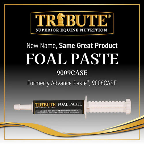 Tribute Foal Paste Nutrient & Probiotic-Packed Supplement