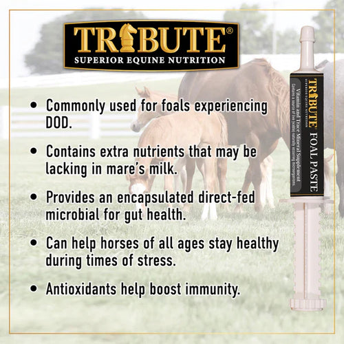 Tribute Foal Paste Nutrient & Probiotic-Packed Supplement