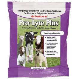 Pro-Lyte Plus Livestock Electrolyte Supplement, 4-oz.