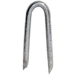 Fence Staples, Hot-Dipped Galvanized, 1.25-In., 1-Lb.