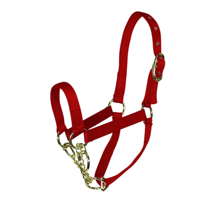 Hamilton Control Halter with Chain Red
