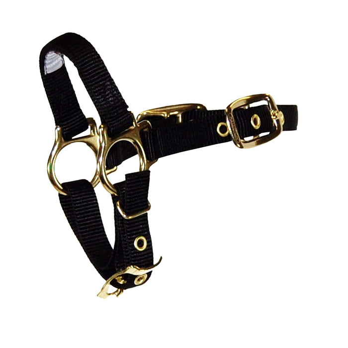 Hamilton Deluxe Halter with Adjustable Chin Black