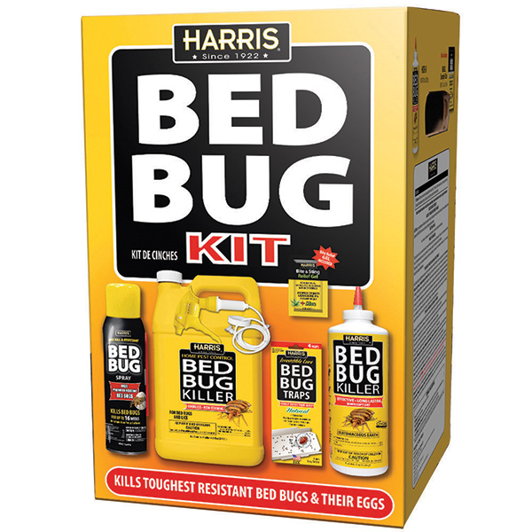 How To Find Out If You Have Bed Bugs Discreetly - Surge Protector Bed Bug  Trap Review 