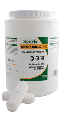 Aspen Aspirin Bolus 480GR (50 Count)