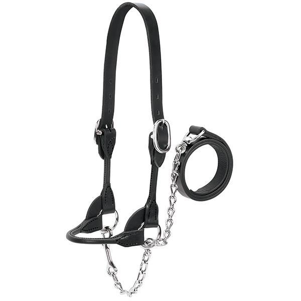 Weaver Leather Dairy/Beef Rounded Show Halter, Black, Extra Large