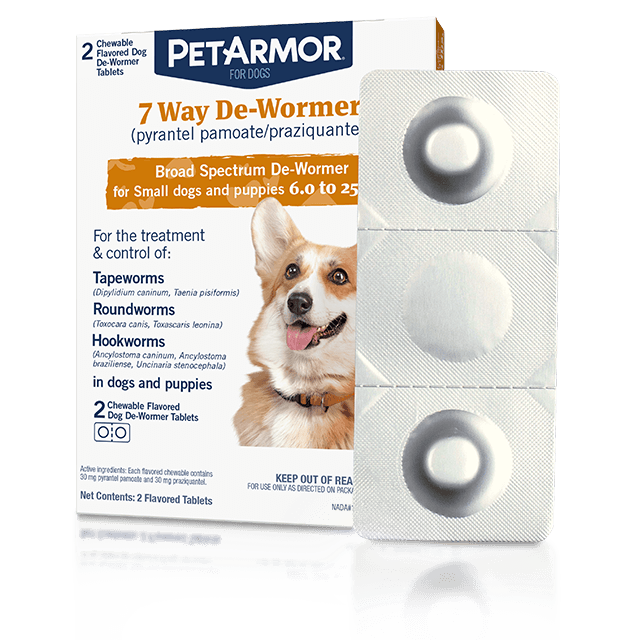 Tapeworm medicine store walmart