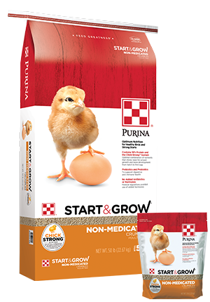 Purina® Start & Grow® Chicken Feed
