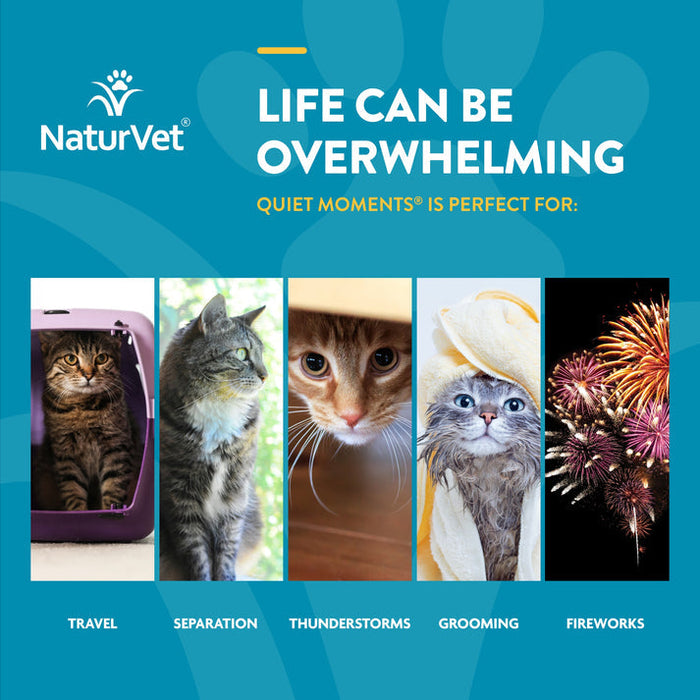 NaturVet Scoopables Quiet Moments® Calming Aid for Cats