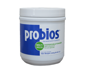 Probios Probiotic Supplement