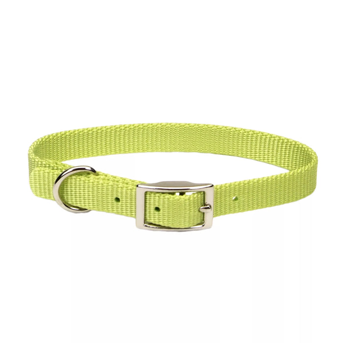 Coastal Pet Products Coastal Single-Ply Dog Collar Lime 3/4" x 18"