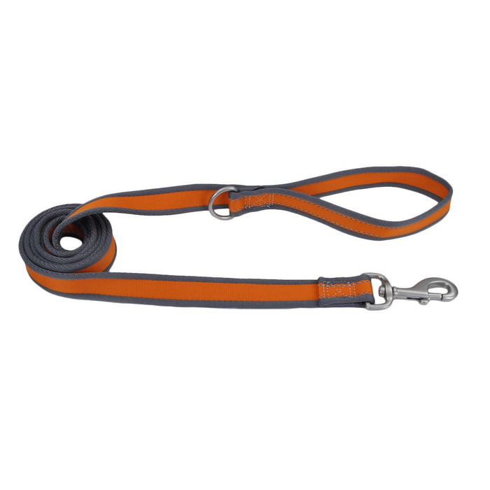 Coastal Pet Products Pro Reflective Dog Leash