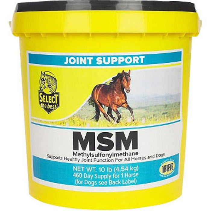 Select The Best MSM Joint Support Supplement